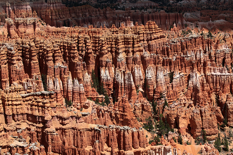 Bryce Canyon : Utah : Landscape Photos : Richard Moore : Photographer